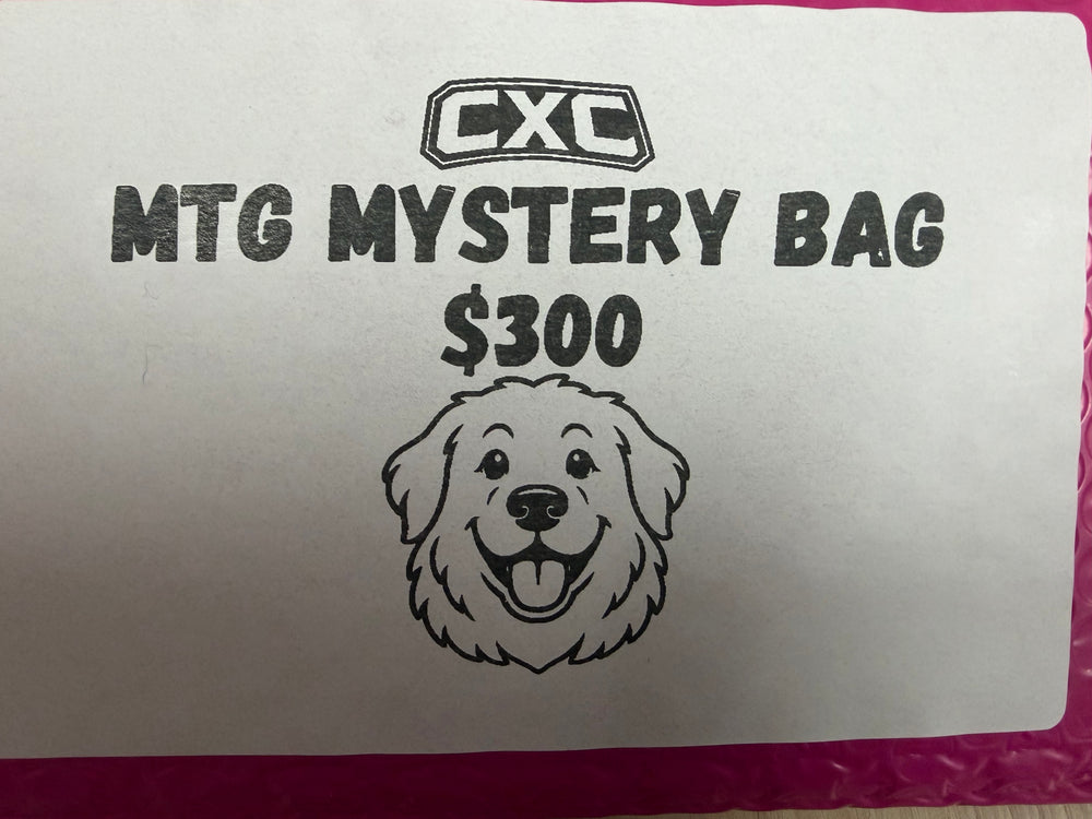 Mystery bags!