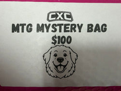 Mystery bags!