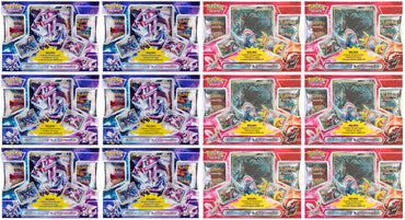 HeartGold & SoulSilver - Clash of Legends Display