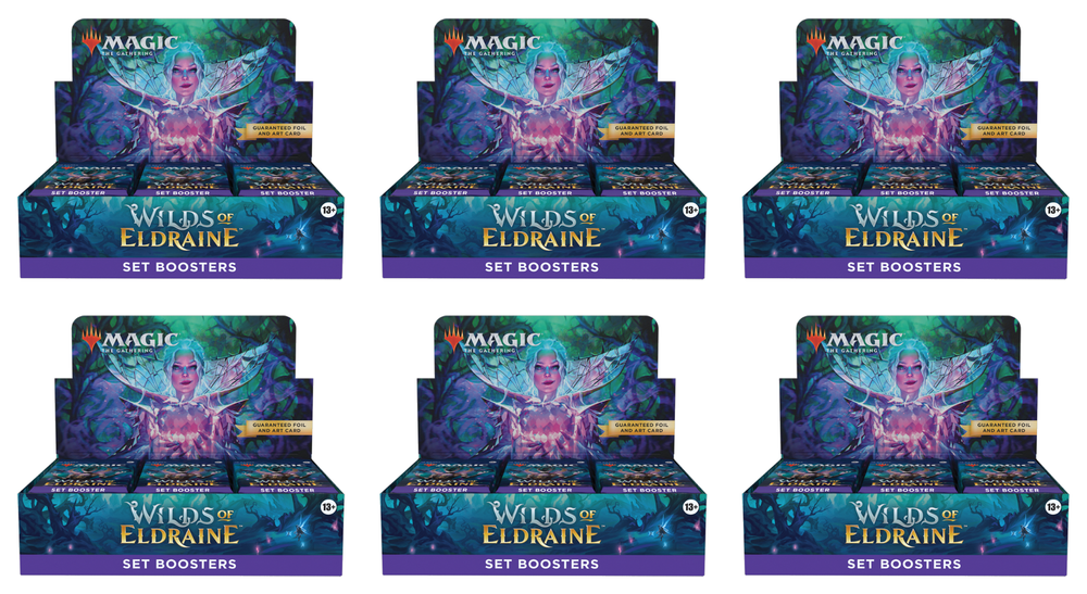 Wilds of Eldraine - Set Booster Case